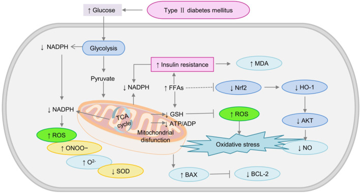 FIGURE 3