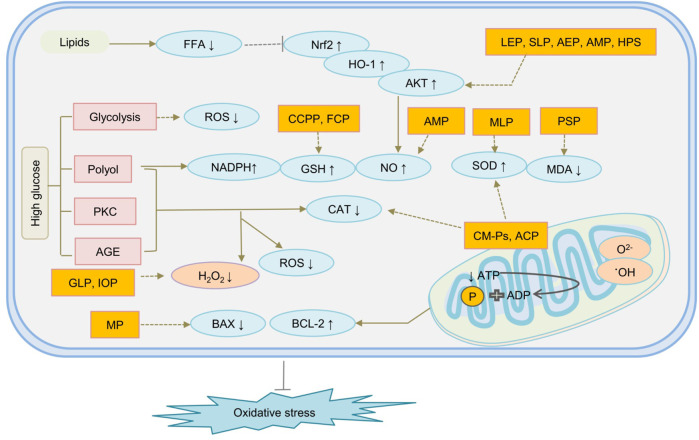 FIGURE 4