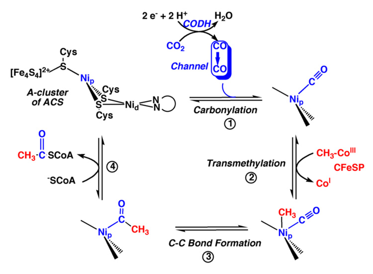 Figure 14