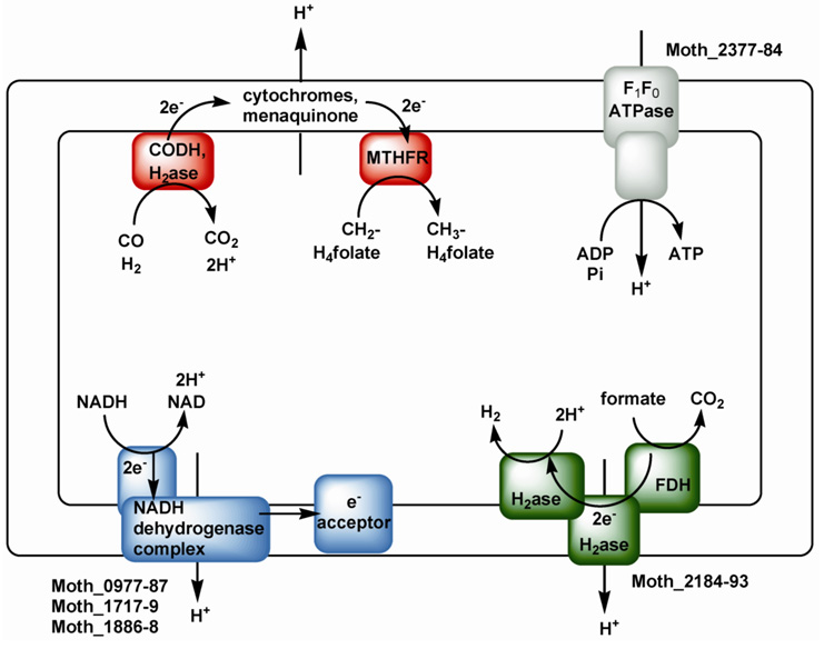 Figure 23