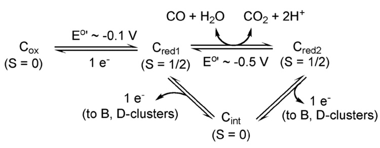 Figure 12