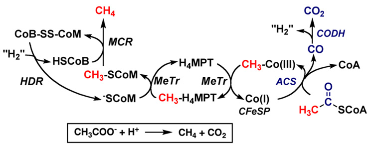 Figure 20