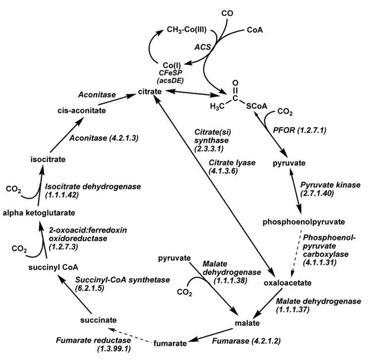 Figure 17