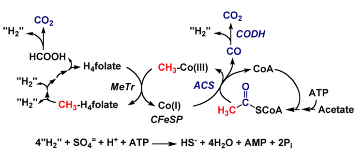 Figure 21