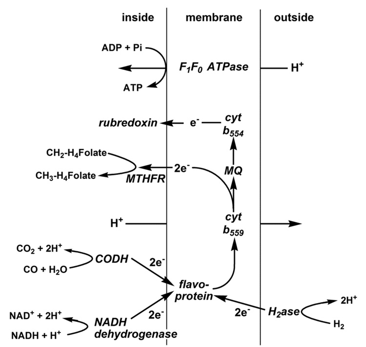 Figure 22