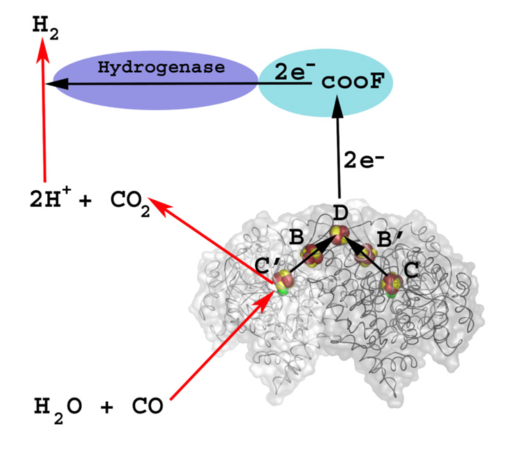 Figure 10