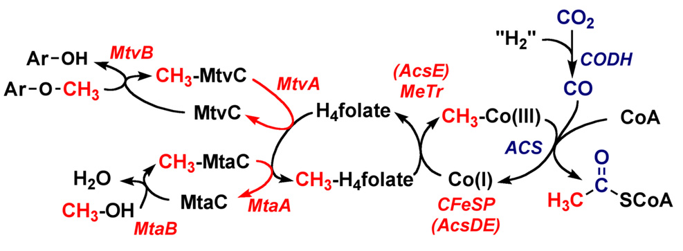 Figure 18