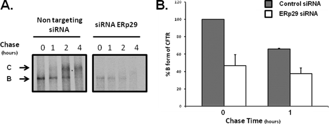 FIGURE 9.