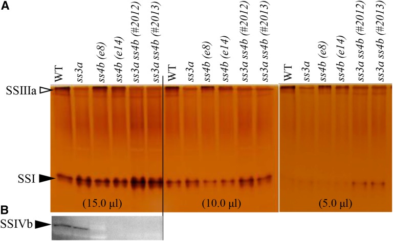 Figure 10.