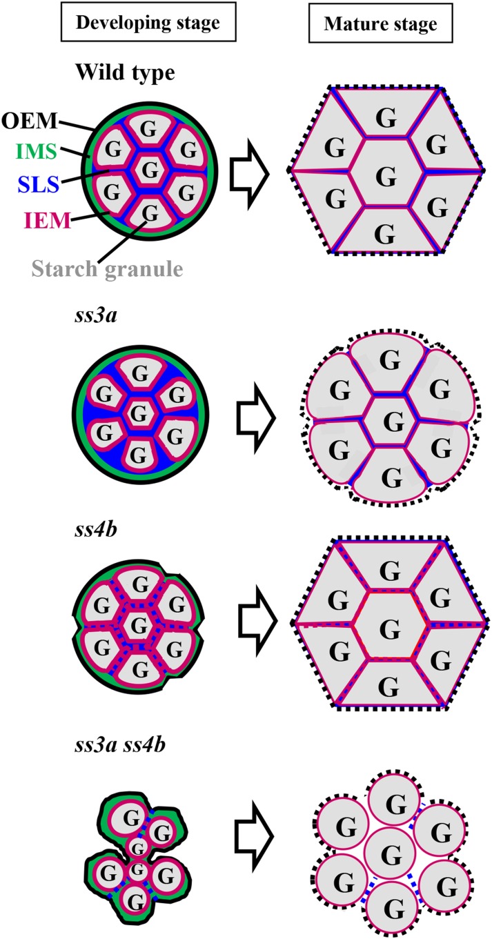 Figure 11.