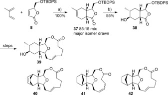 Scheme 5