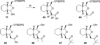 Scheme 6