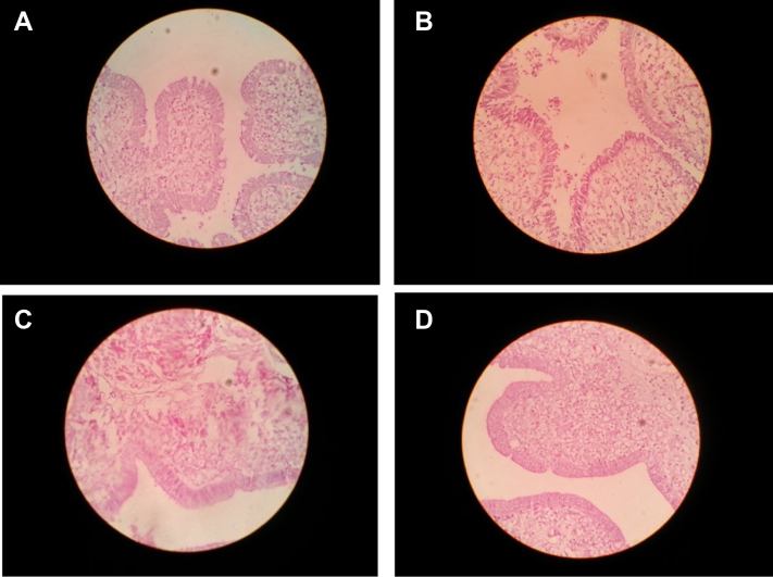 Figure 5