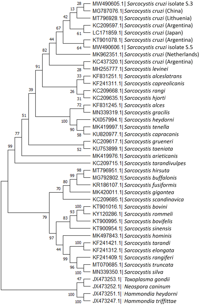 Fig. 2