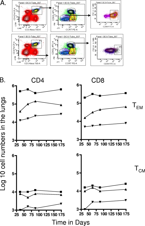 FIG. 1.