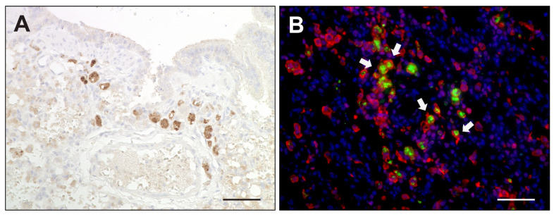 Figure 9