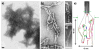 Figure 18