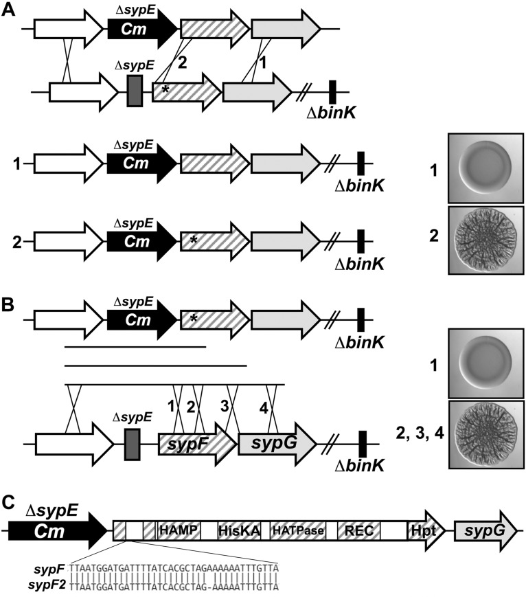 FIG 4