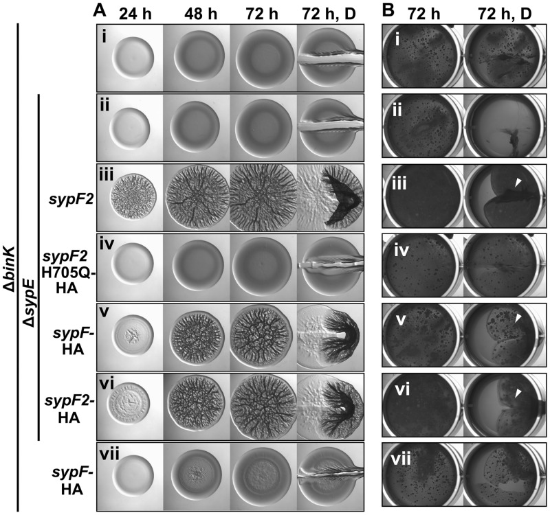 FIG 6