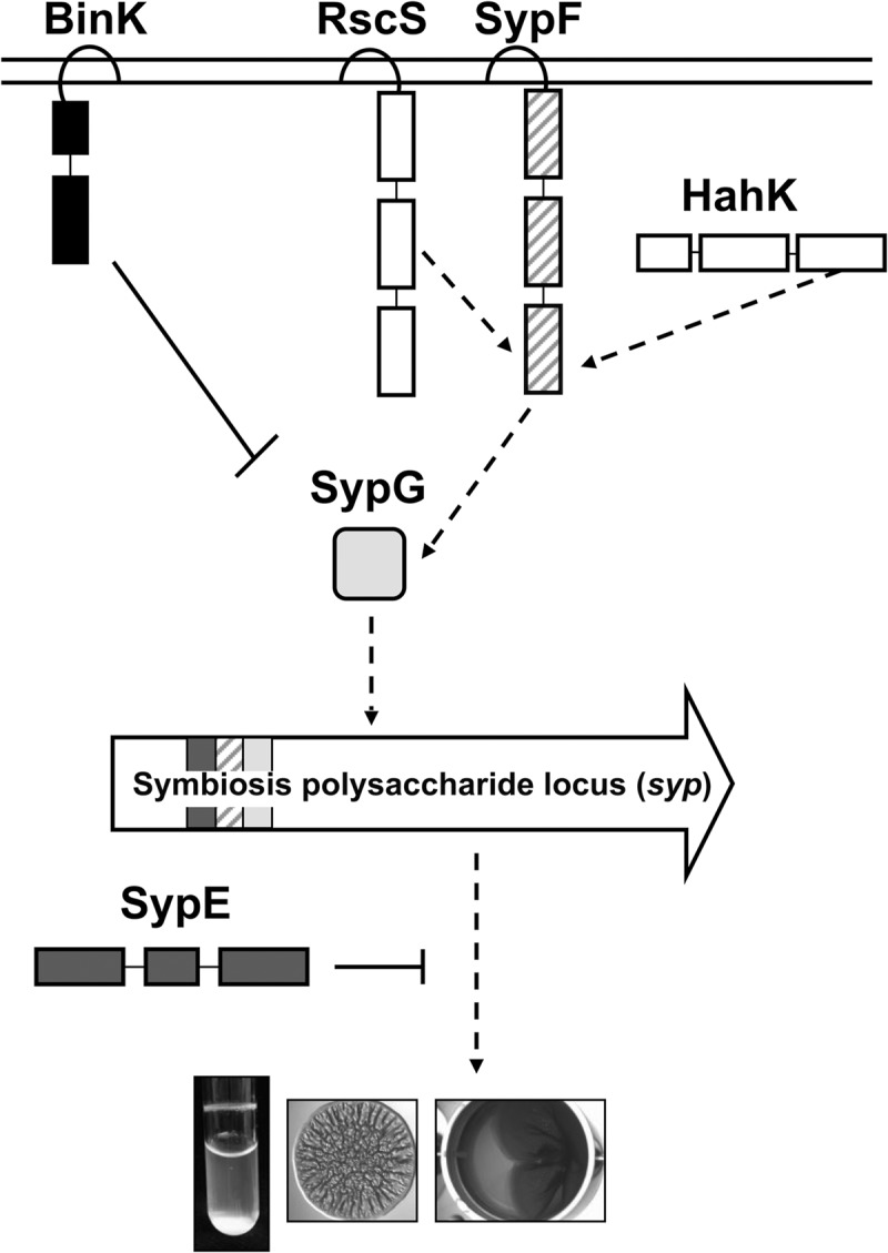 FIG 1