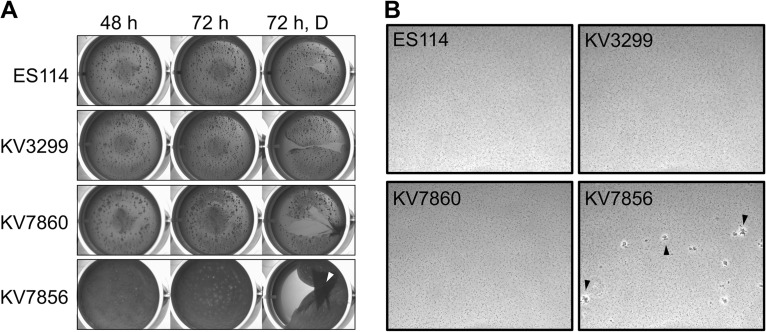 FIG 3