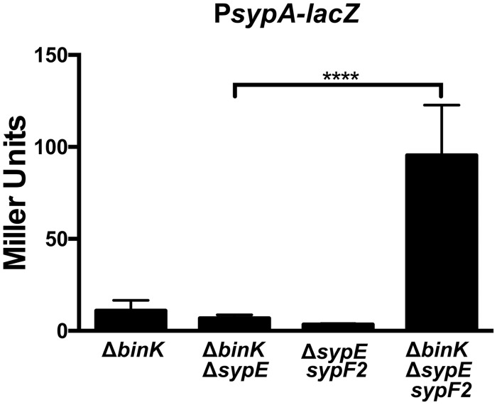 FIG 8