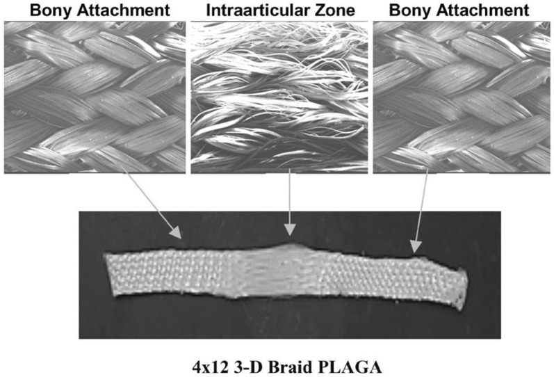 Fig. 4