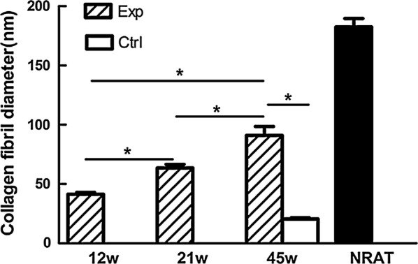 Fig. 14