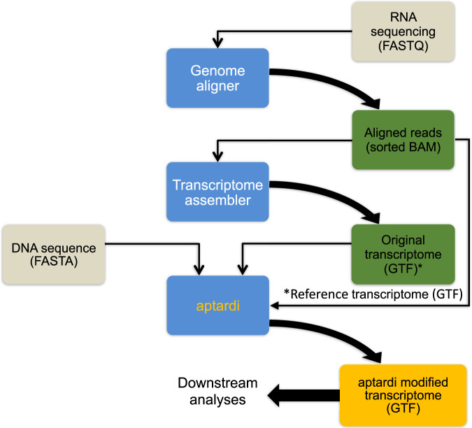 Fig. 1