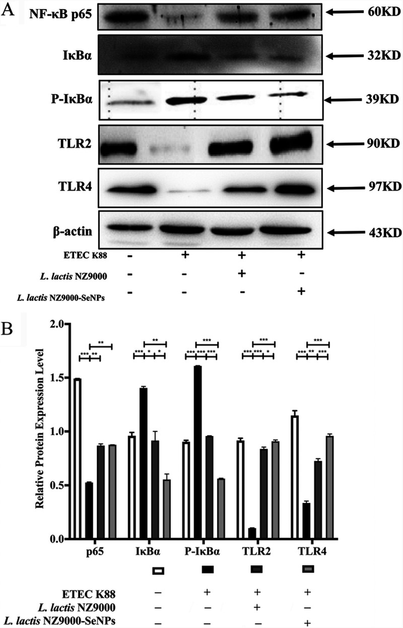 FIG 7