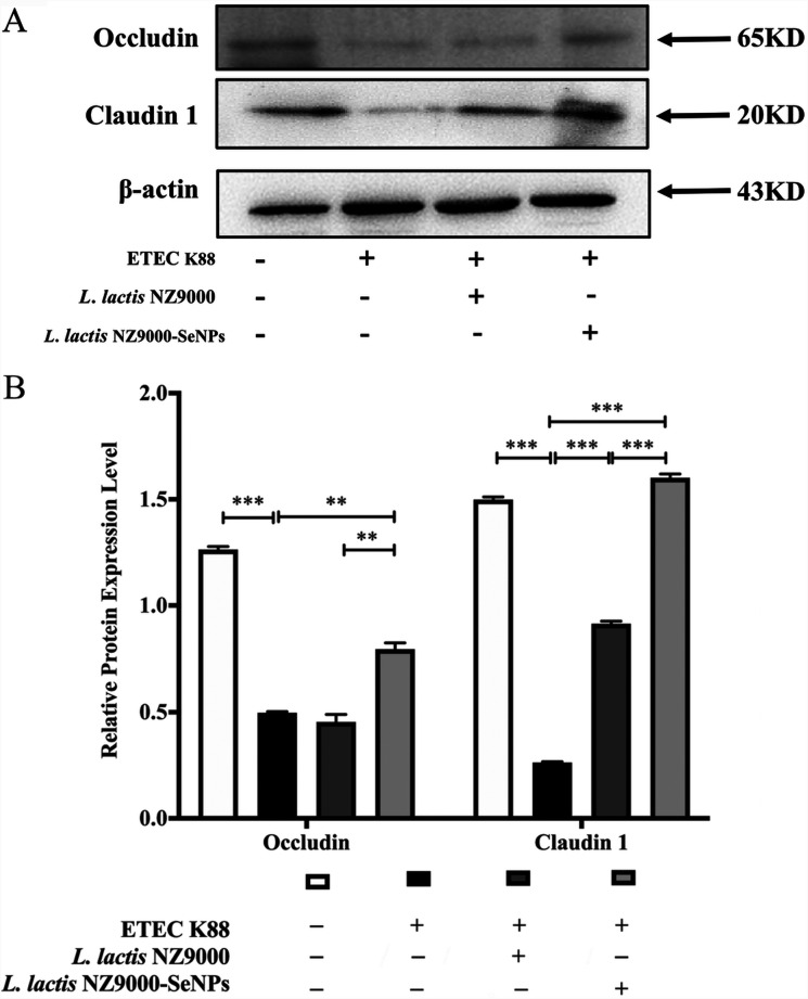 FIG 4