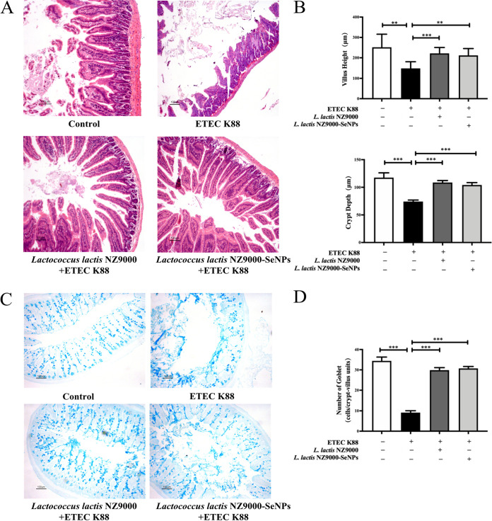 FIG 3