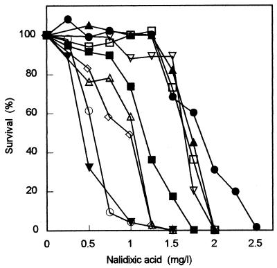 FIG. 2.