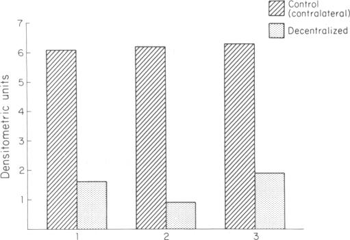 graphic file with name pnas00338-0525-a.jpg