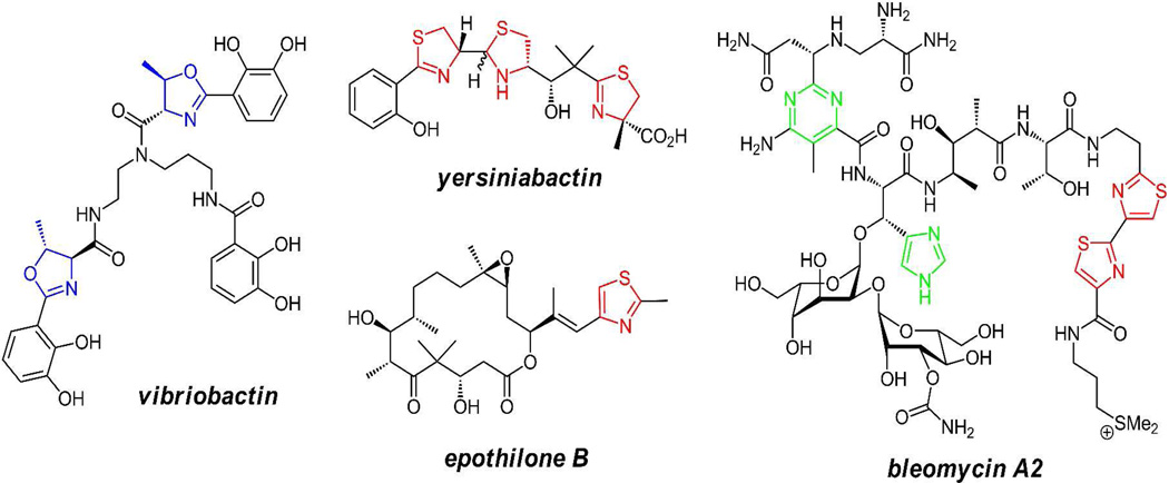 Figure 9