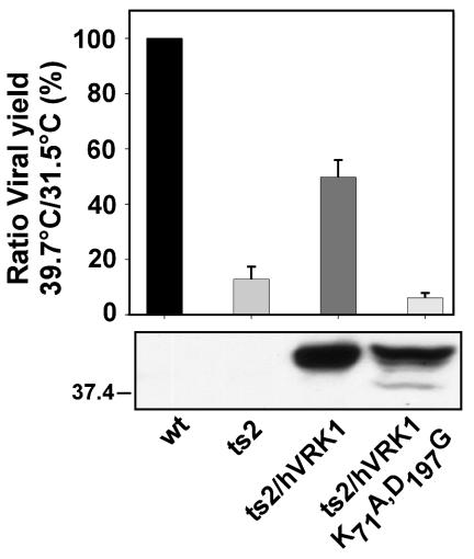 FIG. 8.