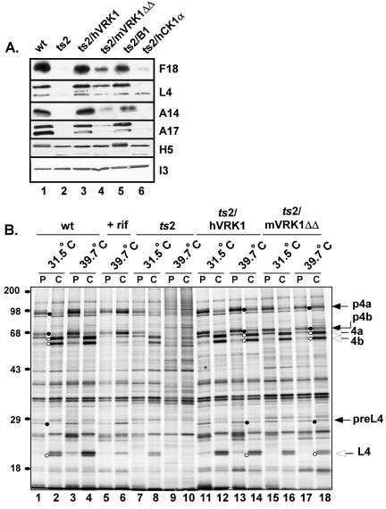 FIG. 9.