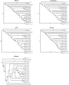 Figure 4—figure supplement 1.