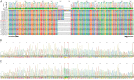 Figure 5—figure supplement 1.