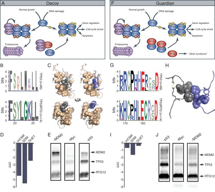 Figure 10.