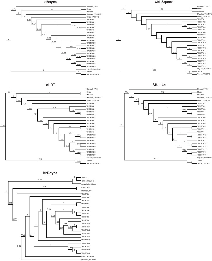 Figure 4—figure supplement 1.