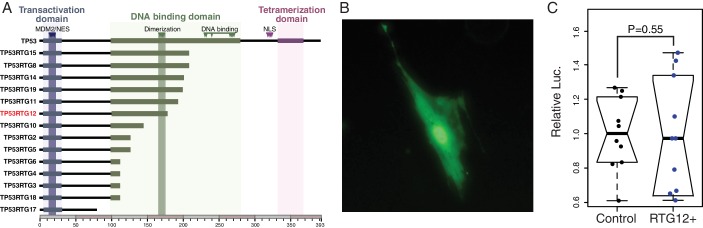 Figure 9.