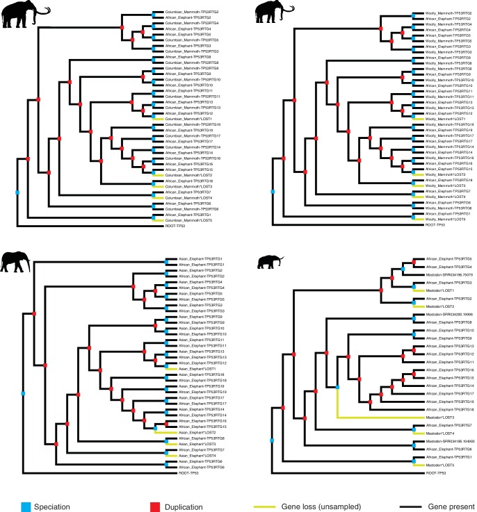 Figure 2—figure supplement 1.