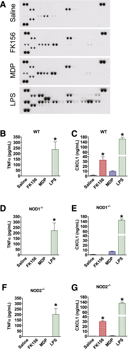 FIG. 4.