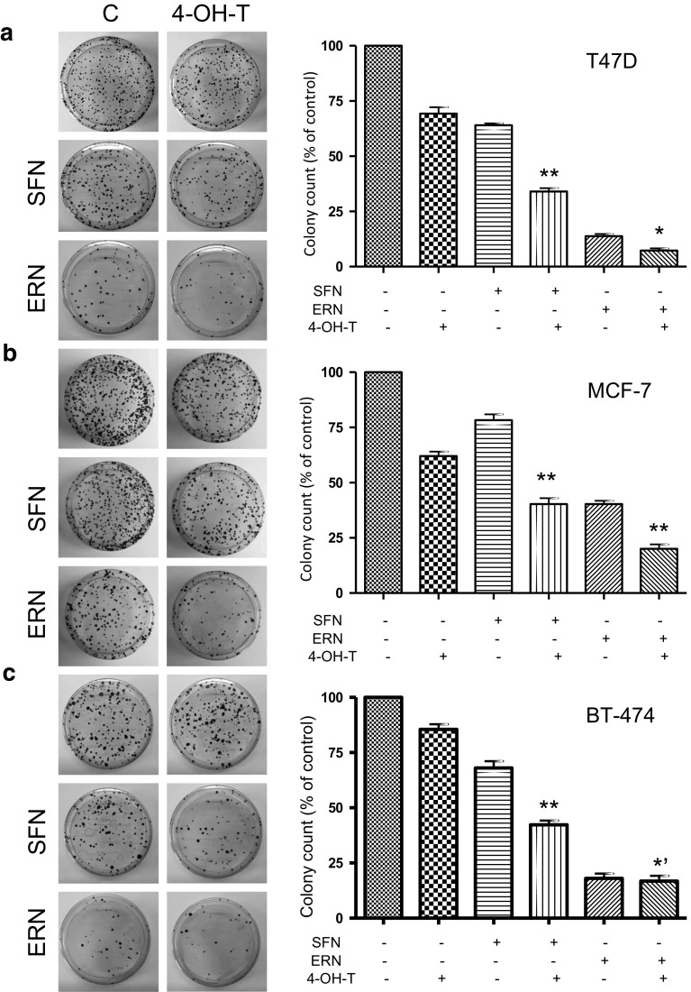 Fig. 7