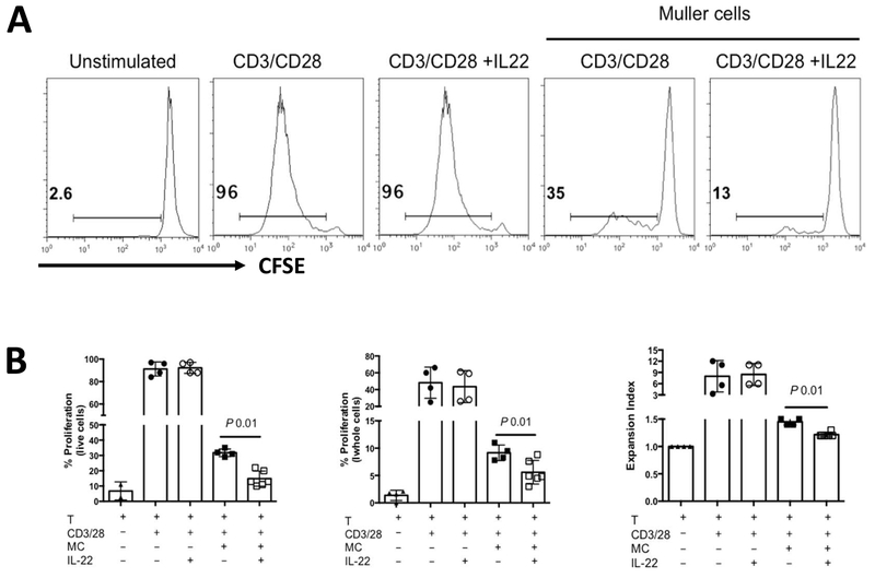 Figure 5: