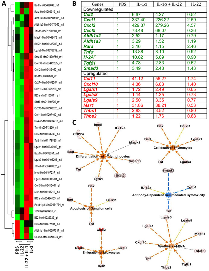 Figure 6: