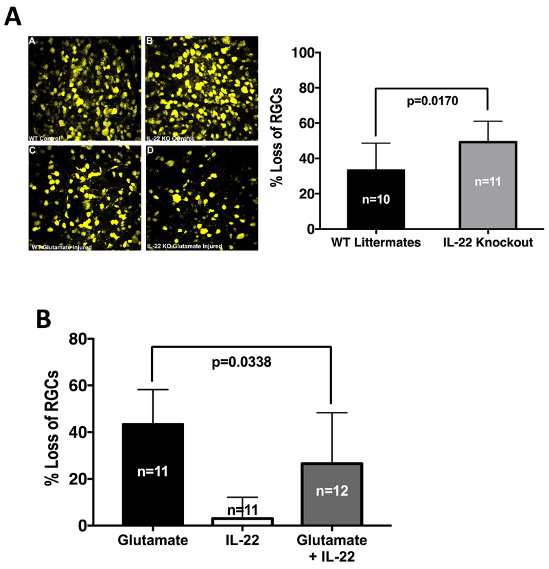 Figure 7: