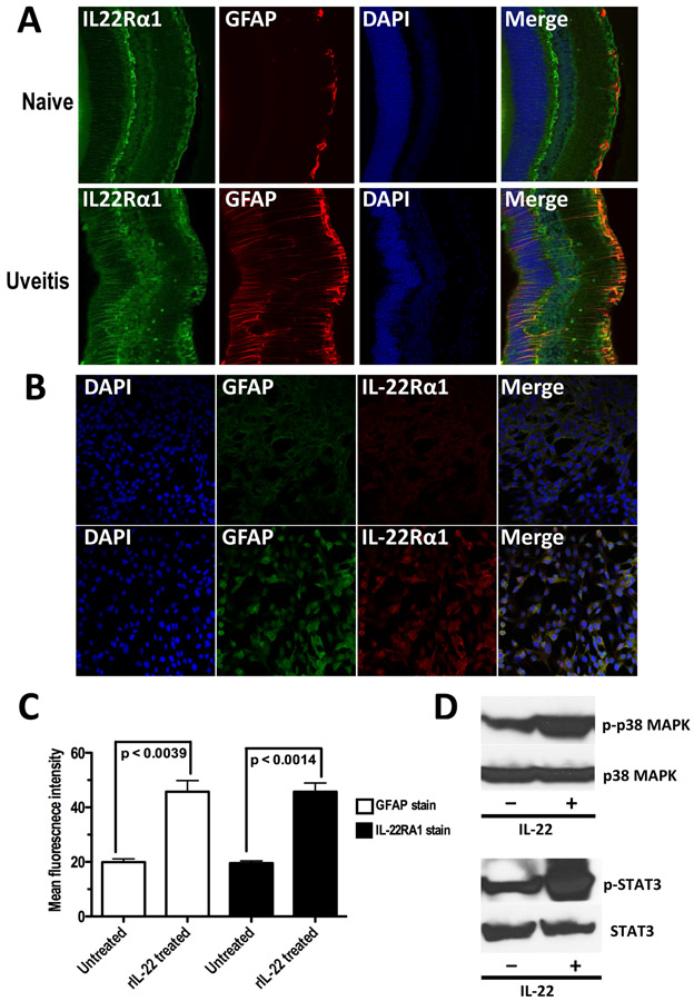 Figure 4: