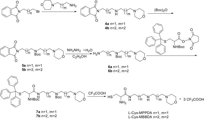 Scheme 2